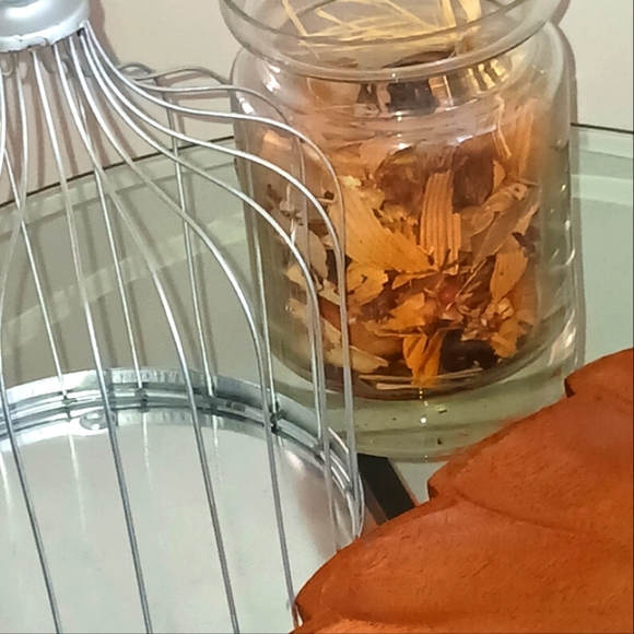 Wire Cloches - Picture 11 of 14